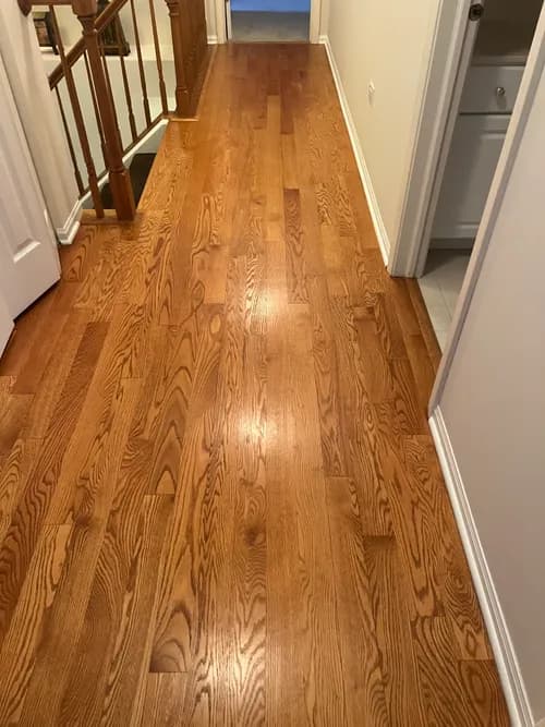 Maria Extra Cleaning Service - Photo 2