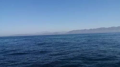 Maria San Pedro Cleaning Services - Photo 5