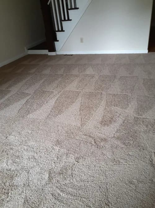 Maryland Cleaning Services - Photo 2