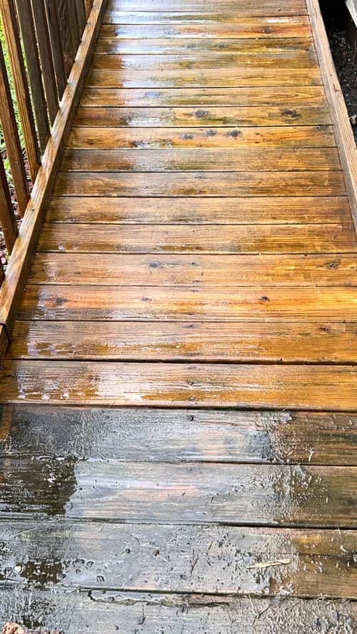 MaryS Cleaning Services LLC - Photo 1