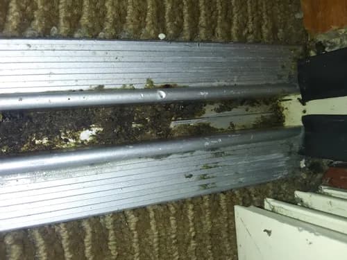 MaryS Cleaning Services LLC - Photo 4