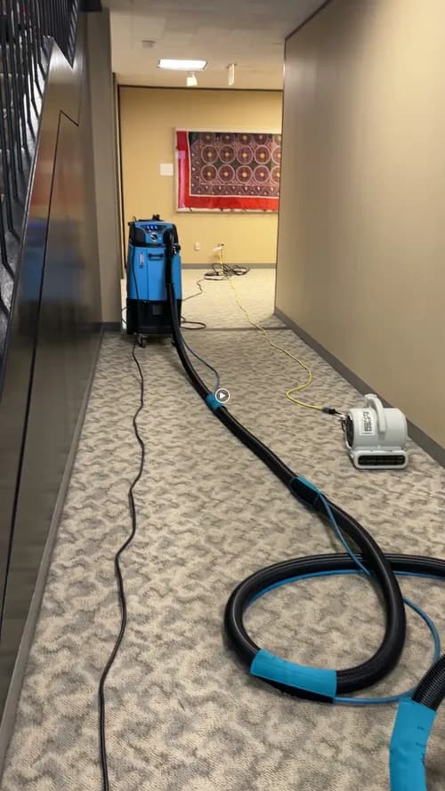 Master Clean Service Bay Area - Photo 5