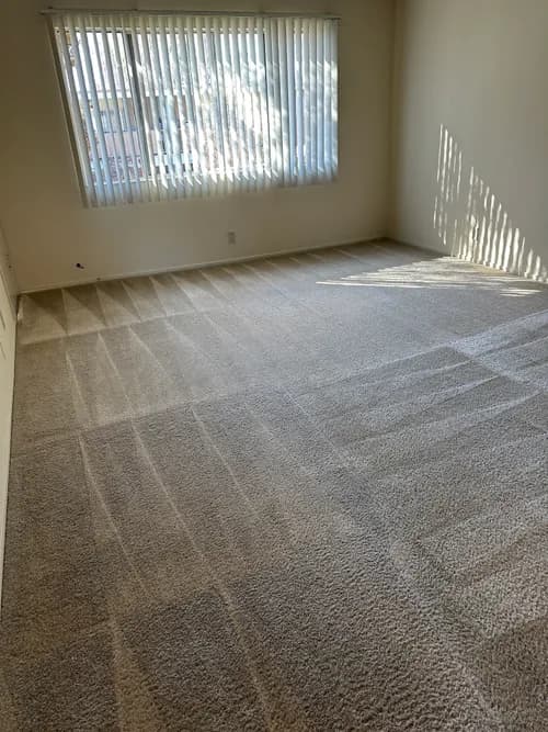 Master Clean Service Bay Area - Photo 4