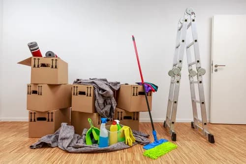 Max Cleaning NM - Photo 3