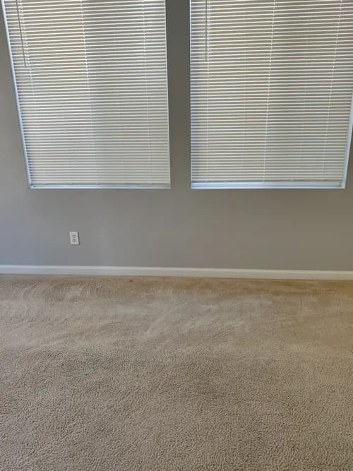 Mean Green Carpet Cleaners - Photo 2