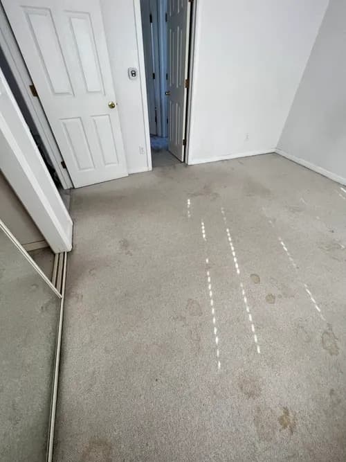 MEGA STEAM CLEAN - Photo 3