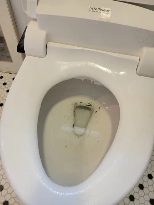 Melo Cleaning LLC - Photo 2