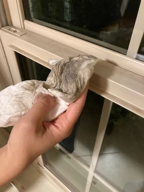 Merry Maids of Newport Coast & Irvine - Photo 5