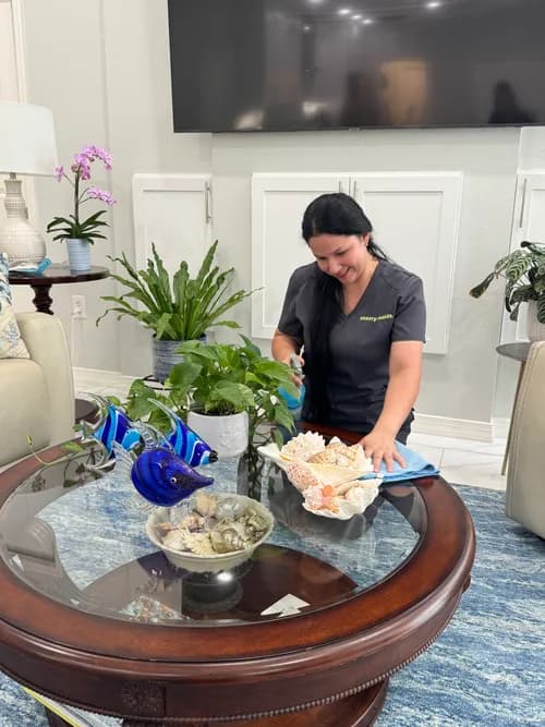 Merry Maids of Pinellas Park - Photo 2