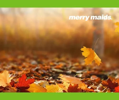 Merry Maids of San Jose