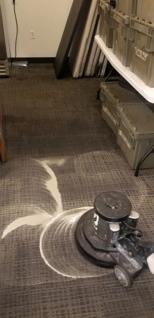 Mexi- Shield Cleaning Services - Photo 3