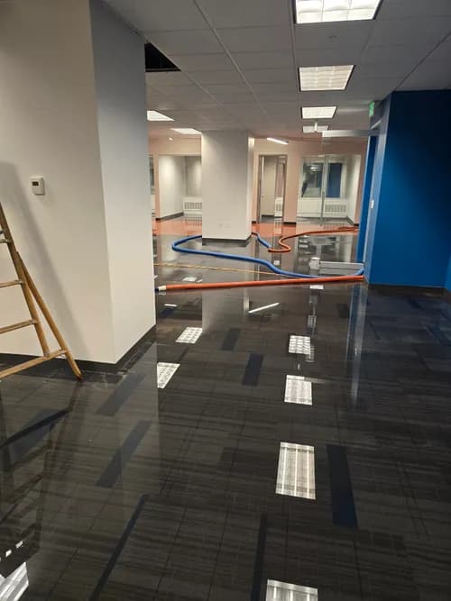 Mexi- Shield Cleaning Services