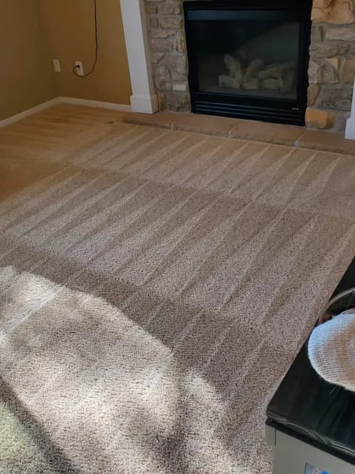 Mexi- Shield Cleaning Services - Photo 4