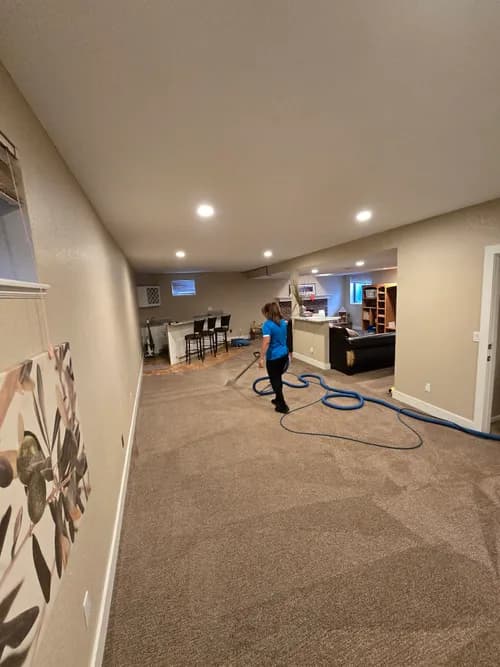 Mexi- Shield Cleaning Services - Photo 2