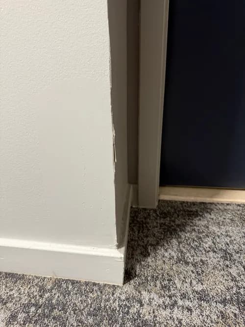 Mi Casa Moving & Cleaning Services - Photo 4