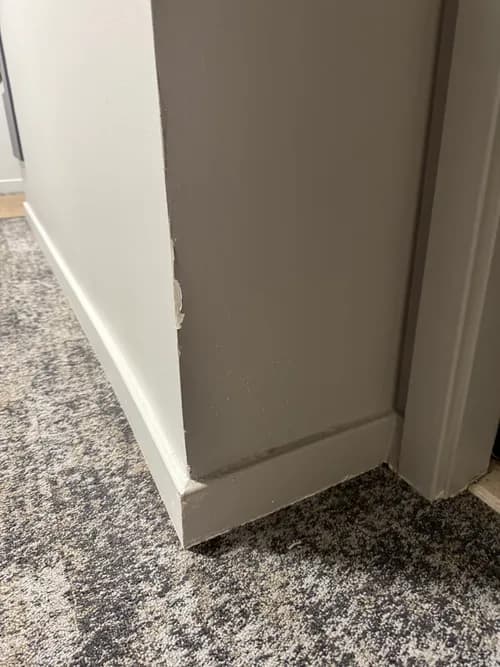 Mi Casa Moving & Cleaning Services - Photo 3