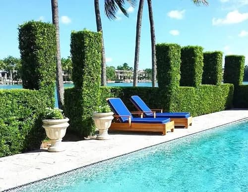 Miami Shine Cleaners - Photo 4