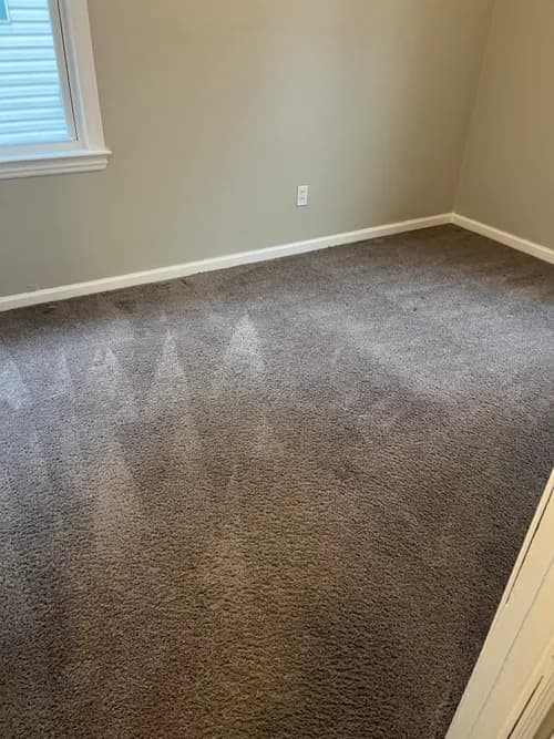 Mighty Mike's Carpet Cleaning& Janitorial service LLC