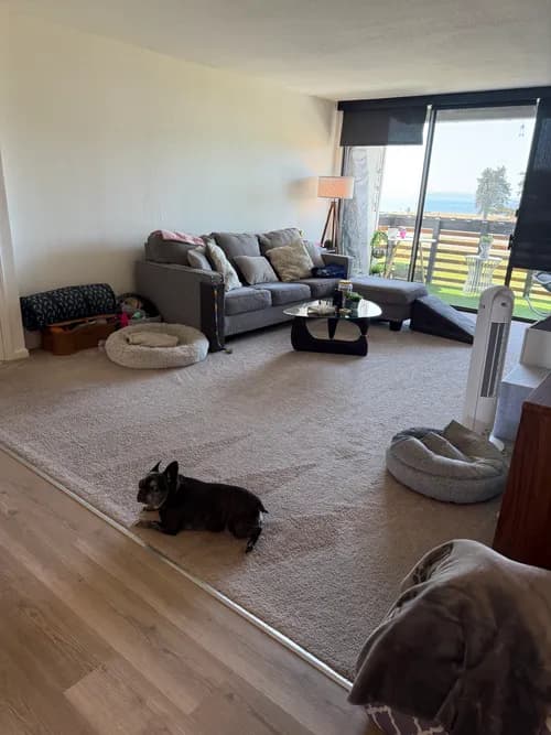 Milan Cleaning Company - Photo 4