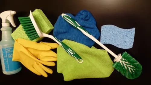 Mint Fresh Home Cleaning