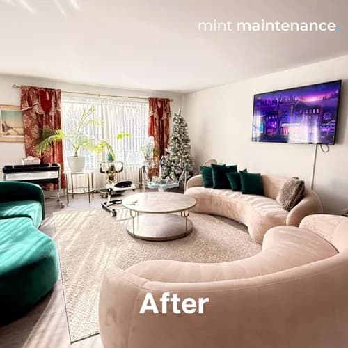 Mint Maintenance - Photo 2