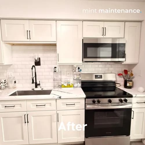 Mint Maintenance - Photo 3