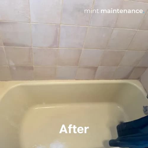 Mint Maintenance - Photo 3