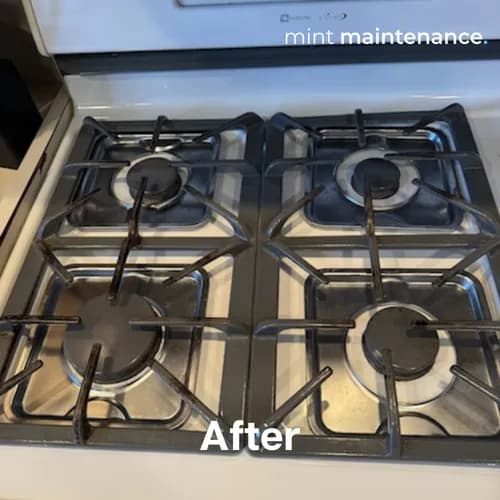 Mint Maintenance - Photo 2