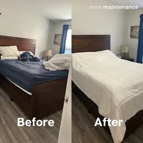 Mint Maintenance - Photo 2