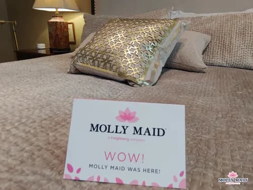 Molly Maid of East Phoenix and Paradise Valley - Photo 2