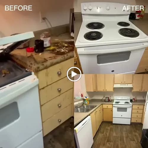 Molly Maid Of East Portland - Photo 3