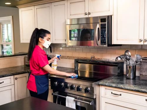 Molly Maid of Memphis - Photo 3