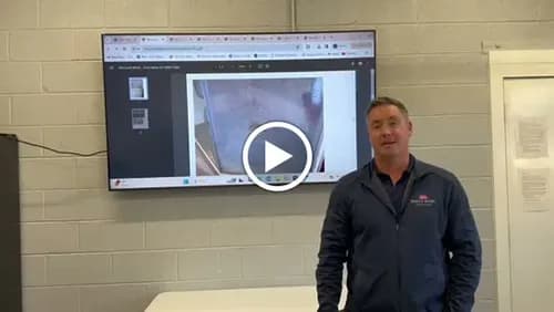 Molly Maid of N Charlotte/Matthews/Concord/Huntersville - Photo 2