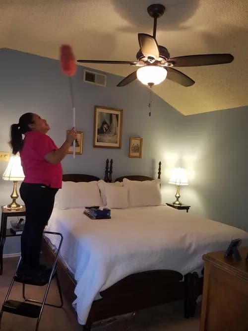 Molly Maid of Plano, Rockwall and Rowlett - Photo 4