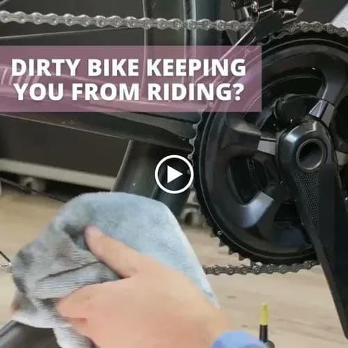 Molly Maid of Santa Clarita - Photo 3