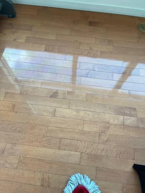 MoltoPulito LLC - Photo 1