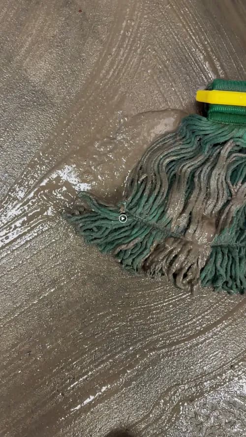 Monley's Cleaners - Photo 3