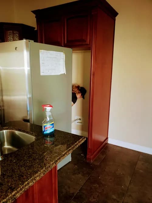 MONSTER CARPET & MOVE-OUT CLEANING - Photo 2