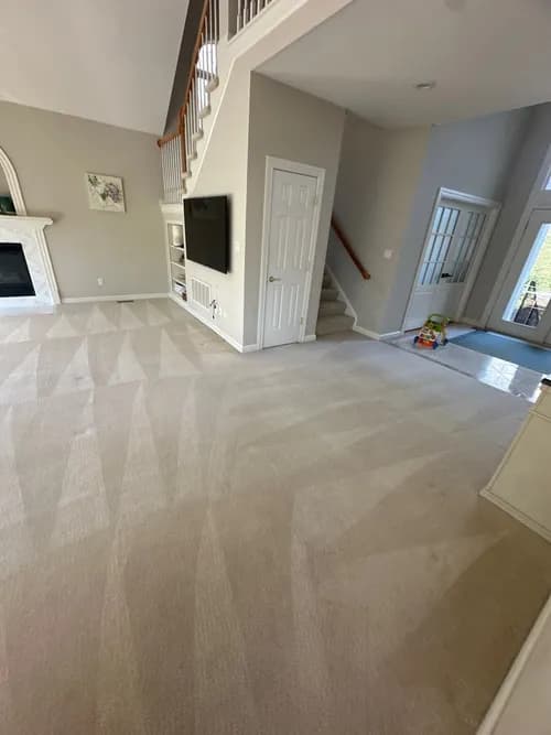 Monster Clean - Photo 2