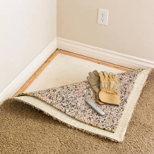 Monster PRO - Photo 3