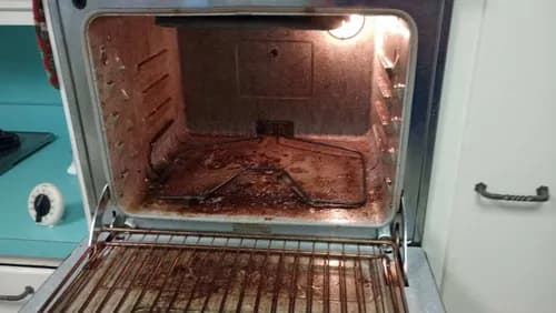 Mrs. Clean Pittsburgh - Photo 3