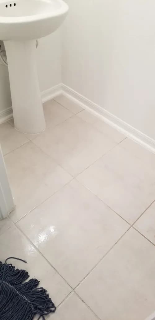 Ms. Deep Clean - Photo 3