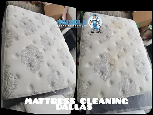 Muscle Cleaning Services