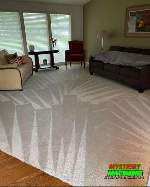 Mystery Machine Steam & Clean - Photo 1