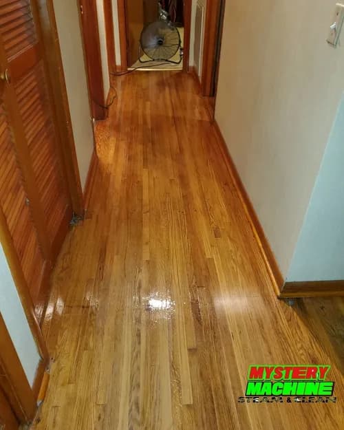 Mystery Machine Steam & Clean - Photo 2