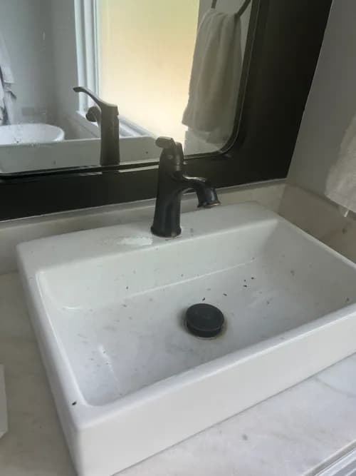 Nashville Neat Freaks