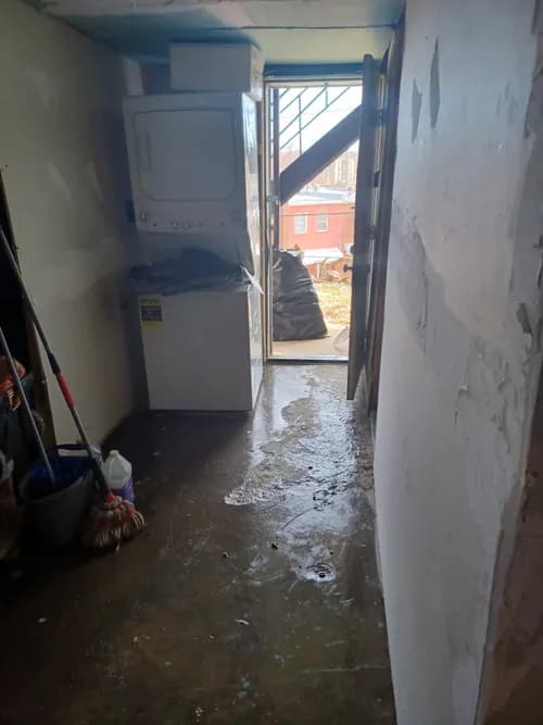 Nelson's Cleaning - Photo 5