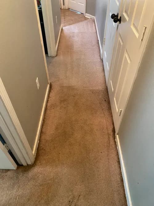 NelsonB Refreshing Your Floors & More - Photo 2