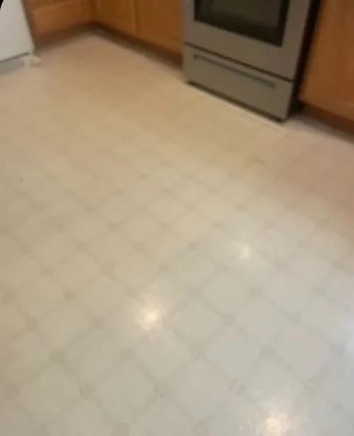 Neon Vista Cleaning - Photo 3