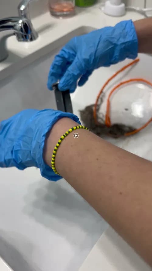 Nevada Cleaning Services - Miami - Photo 4